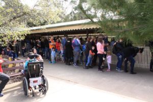 Diamond Valley Railway tourist spot