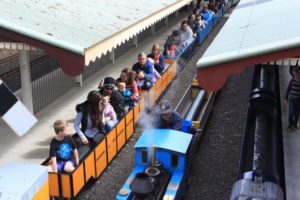 Loaded miniature train