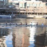 Boat rowers practising on Yarra River