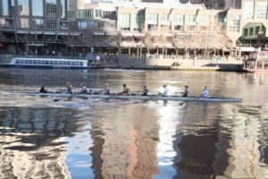 Boat rowers practising on Yarra River