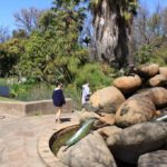 Dolphin Fountain, Fitzroy Gardens