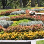 The Floral Clock, Queen Victoria Gardens, Melbourne