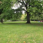 Western Lawn, The Royal Botanic Gardens, Melbourne