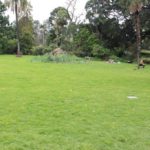 Western Lawn, The Royal Botanic Gardens, Melbourne