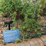 The Herb Garden, The Royal Botanic Gardens, Melbourne