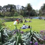 Dog Flat, The Royal Botanic Gardens, Melbourne