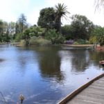 Ornamental Lake, The Royal Botanic Gardens, Melbourne
