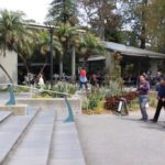 Terrace Café and Tea Rooms, The Royal Botanic Gardens, Melbourne