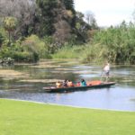 Guided boat tour on the Ornamental Lake, The Royal Botanic Gardens, Melbourne