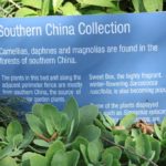 Southern China Collection, The Royal Botanic Gardens, Melbouirne