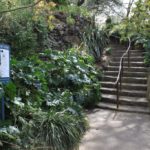 Bluestone steps, The Royal Botanic Gardens, Melbourne