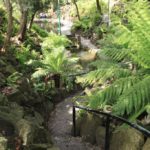 The Grotto, The Royal Botanic Gardens, Melbourne