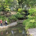 The Grotto, The Royal Botanic Gardens, Melbourne