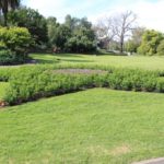 Star Bed of Flowers, Alexandra Gardens, Melbourne