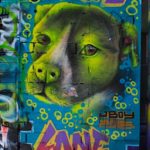 Best street art Melbourne - Hosier Lane