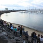 Penguin watching at St Kilda Pier