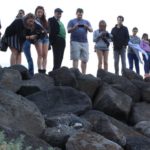 Penguin watching at St Kilda Pier